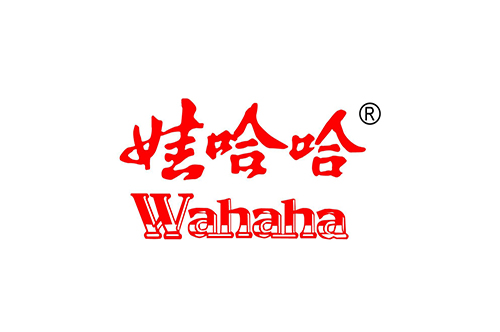 洛陽（yáng）娃哈哈食品加工（gōng）燃（rán）氣蒸汽鍋爐案例